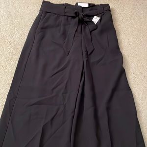 Express wide leg pant
